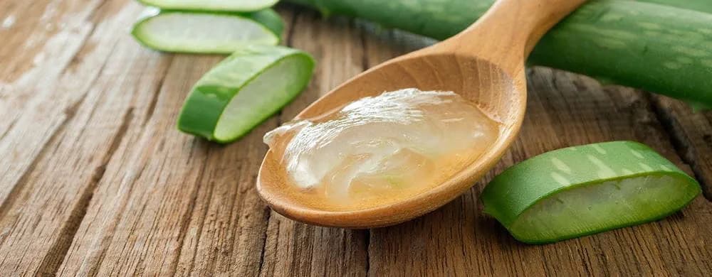 Die Aloe Propolis Creme von Forever Living Products: Ein Produkt, dem Distributoren vertrauen