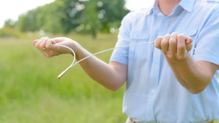 wasserader-finden-aufmacher-499756323-gettyimages-istock